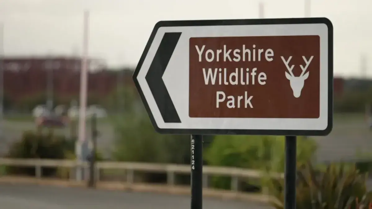 Man Dies After Tiger Attack at Yorkshire Wildlife Park